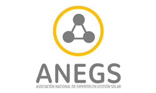 logo_anegs